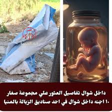 في 180 دقيقة فقط أمن المنيا يفك لغز أجنة البرطمانات ويضبط الوكر السري 2 العثور على 10 أجنة داخل برطمانات