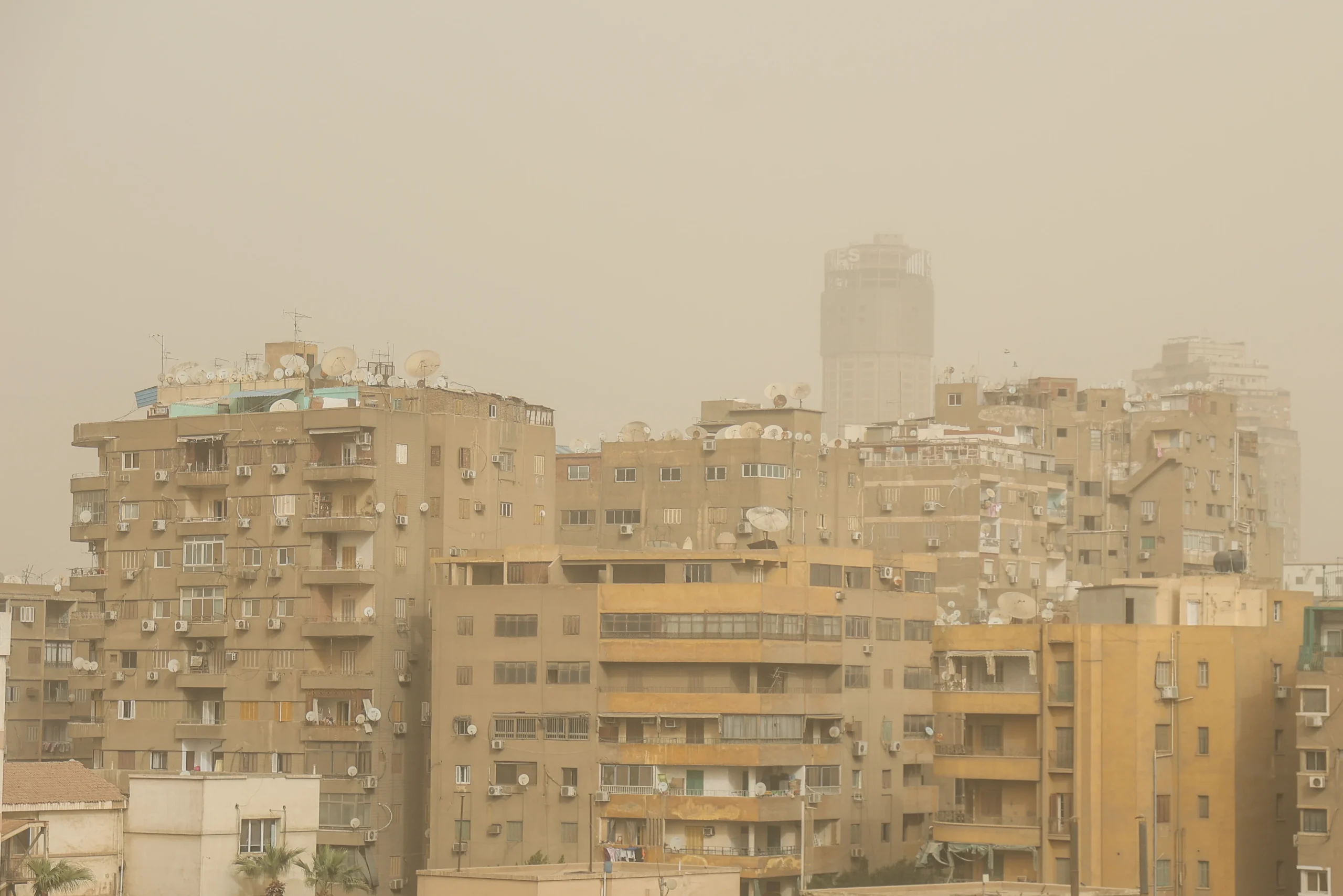 تقلبات جوية الأرصاد عن حالة طقس اليوم 12 مارس 2026 ارتفاع تدريجي في درجات الحرارة 3 الأرصاد الجوية تحذر من حالة الطقس