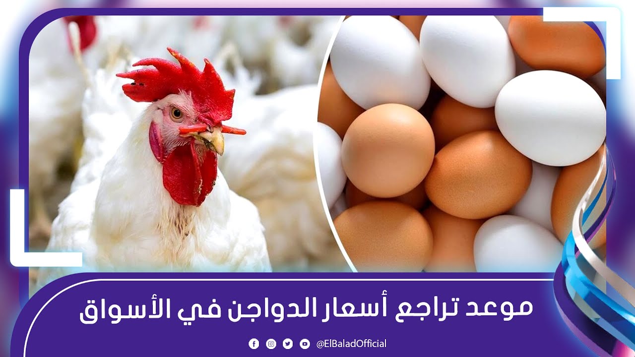 سعر الفراخ بكام انهاردة 9 فبراير2026 بعد موجة الارتفاع المفاجئة 4 موعد انخفاض سعر الفراخ