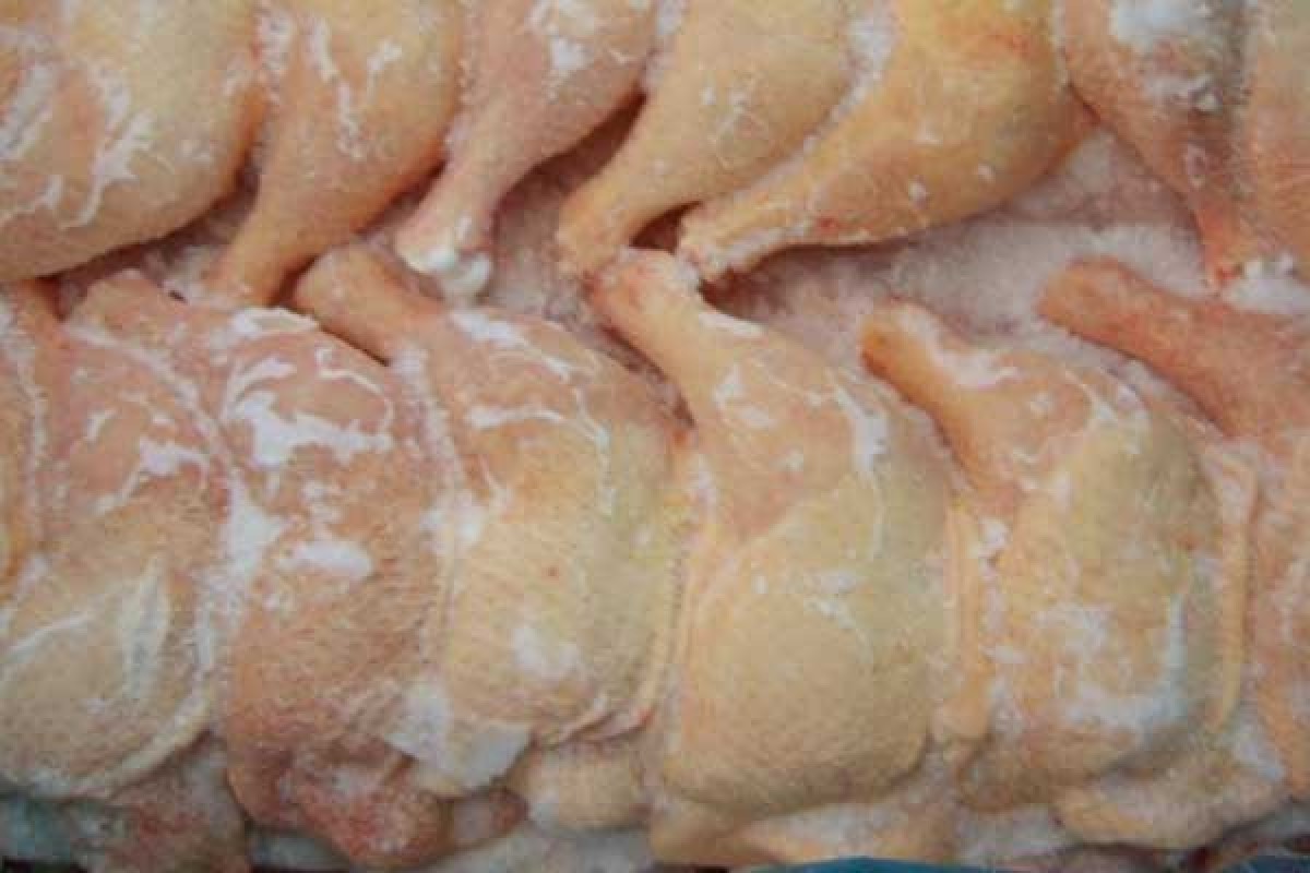 سعر الفرخة 100 جنيه بهذه المنافذ قبل رمضان 3 سعر الفرخة 100 جنيه