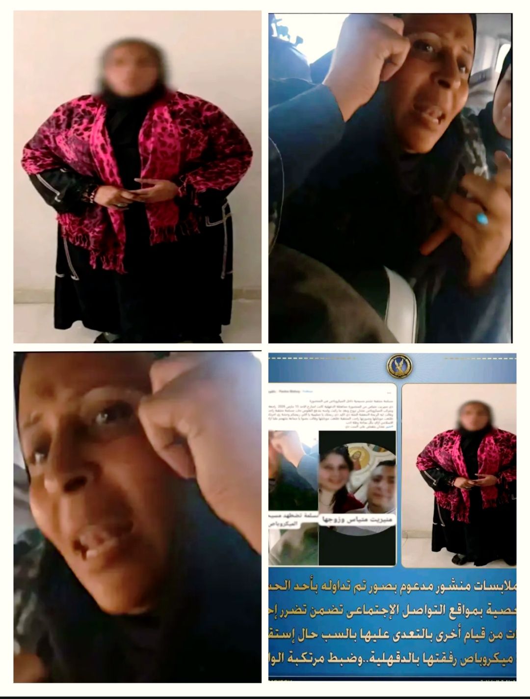 عاجل القبض على السيدة التي أهانت فتاة مسيحية داخل ميكروباص بالدقهلية ايه ريحة النتانه دي يا صليبية 3 القبض على السيدة التي أهانت فتاة مسيحية