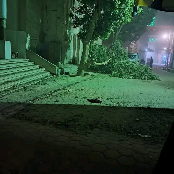 بالصور حصيلة العاصفة الترابية التي اجتاحت أسيوط سقوط أشجار ومصابين وحريق منزل 4 العاصفة الترابية التي اجتاحت أسيوط