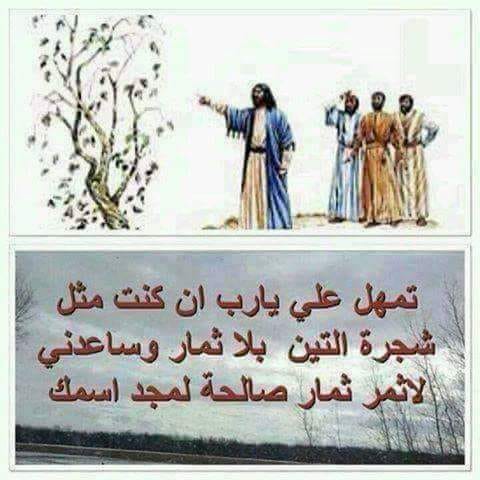 القس فيلوباتير سعيد عن سبب لعن المسيح لشجرة التين يرمز إلى دينونة الله للإيمان الظاهري الذي يفتقر إلى الثمر الروحي 4 لعن شجرة التين
