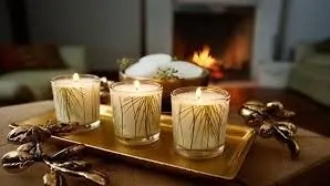 طرق طبيعية للقضاء على غزو الذباب للمنازل بدون مبيدات 3 طرق طبيعية للقضاء على غزو الذباب للمنازل