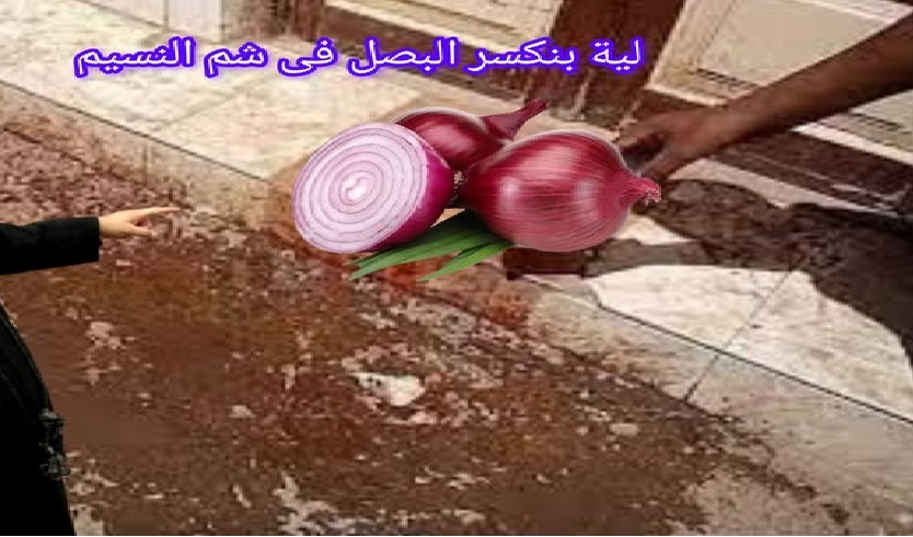 في شم النسيم زمان لماذا كان المسيحيين بيكسروا البصل ويضعوه على أعتاب المنازل 2 شم النسيم زمان