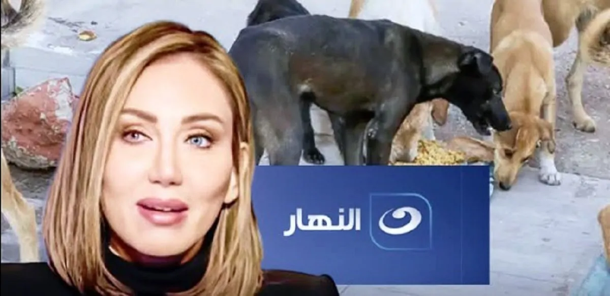 حذف الحلقات الأخيرة من صبايا الخير لريهام سعيد وقناة النهار تصدر قرار يكشف التفاصيل الأزمة 4 حذف الحلقات الأخيرة من صبايا الخير لريهام سعيد