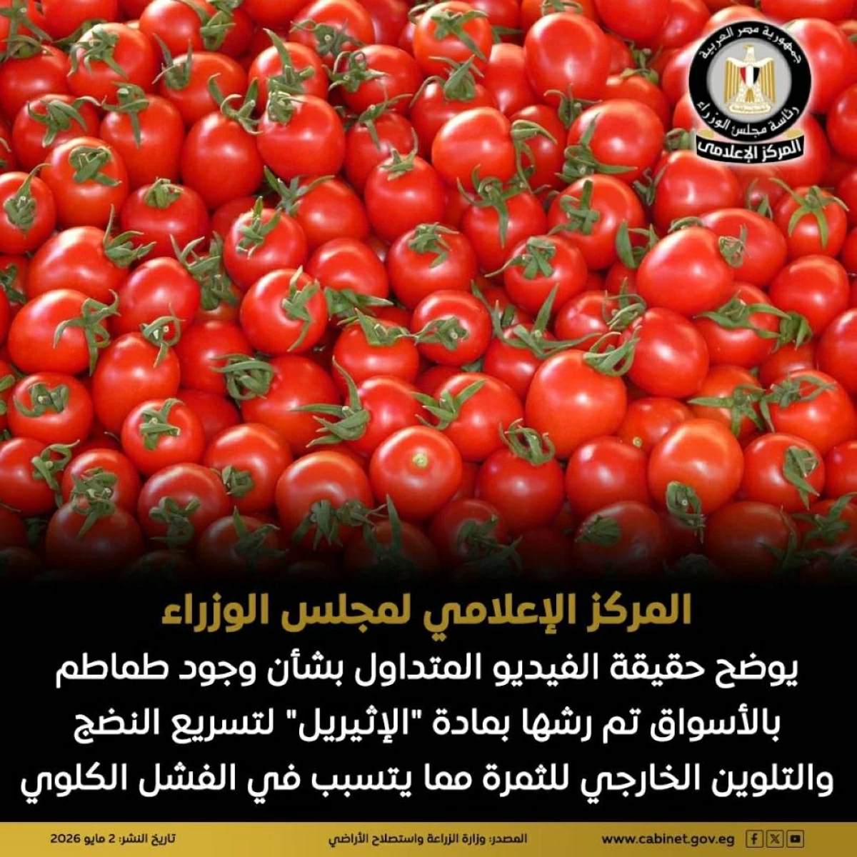 الحكومة تنفي شائعة وجود طماطم ملوثة تسبب الفشل الكلوي 3 الحكومة تنفي شائعة وجود طماطم ملوثة