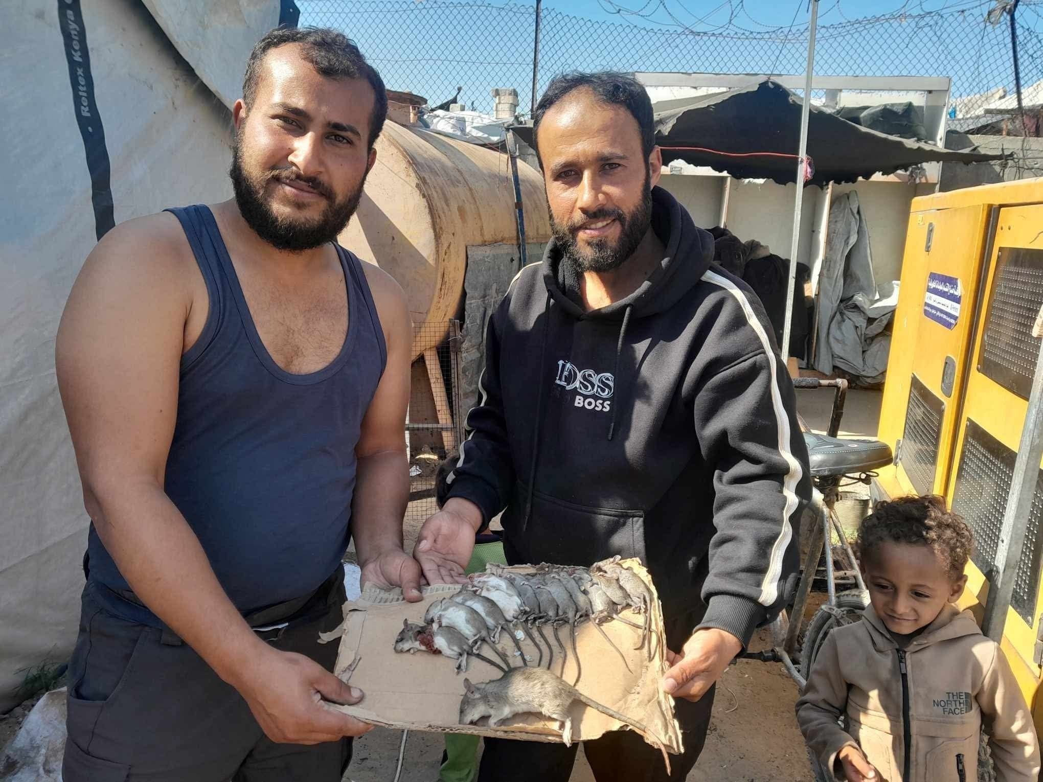 بالصور فزع في قطاع غزة من تفشي فيروس هانتا إسرائيل تنشر الفئران بالقطاع 2 رعب في غزة من فيروس هانتا