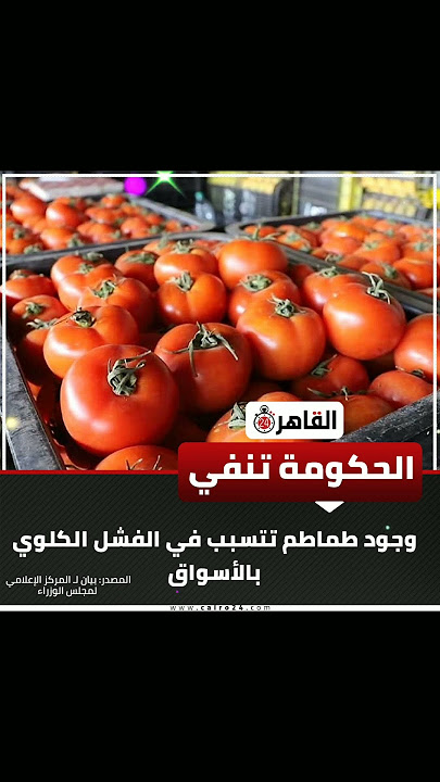 الحكومة تنفي شائعة وجود طماطم ملوثة تسبب الفشل الكلوي 2 الحكومة تنفي شائعة وجود طماطم ملوثة