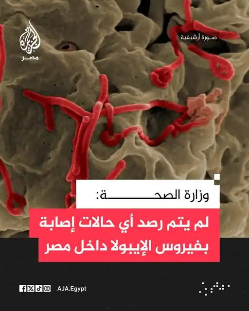 مصر خالية من أي إصابات بفيروس إيبولا مستشار الرئيس للصحة يكشف يوضح 4 وزارة الصحة عن فيروس إيبولا