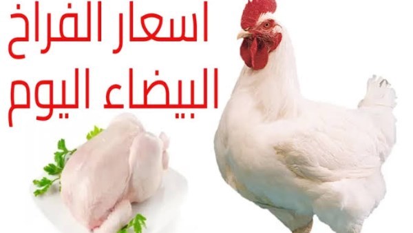 انخفاض سعر الدواجن والبانيه اليوم 4 مايو 2026 نزلت 12 جنيه 2 سعر الدواجن والبانيه اليوم