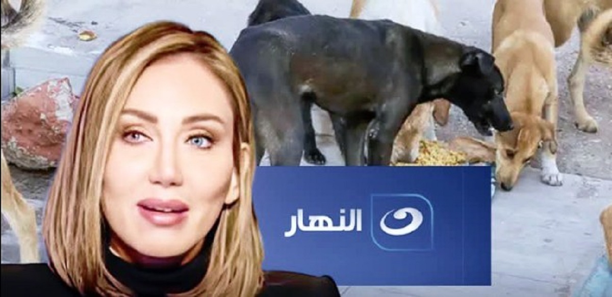 مش هقدر آجي تعليق الإعلامية ريهام سعيد بعد قرار استدعائها من نقابة الإعلاميين بسبب حلقة كلاب الشوارع 4 الإعلامية ريهام سعيد