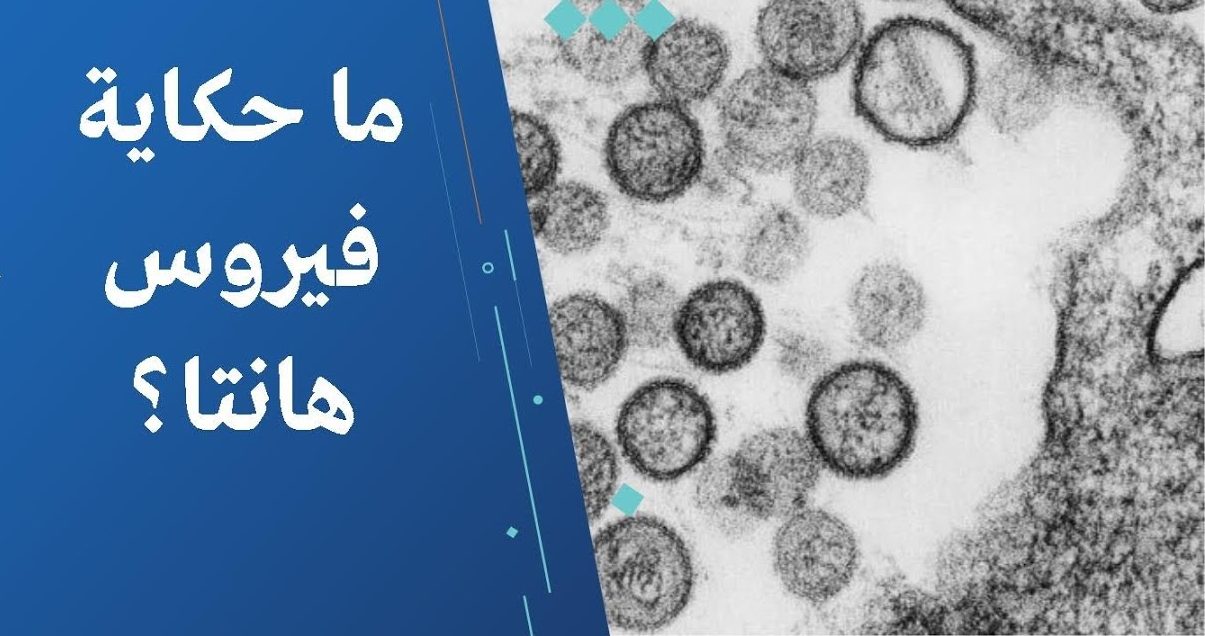 تقرير يكشف تفاصيل فيروس هانتا طرق انتقاله وخطورته وأهم الإجراءات الوقائية 3 فيروس هانتا