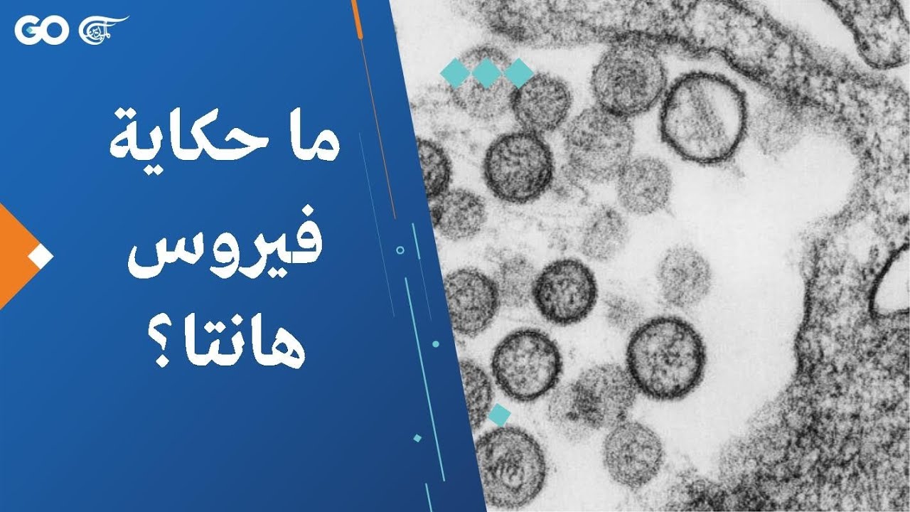 معلومات عن فيروس هانتا وما هي أعراضه بعد وفاة 3 أشخاص على متن سفينة سياحية في المحيط الأطلسي 3 فيروس هانتا