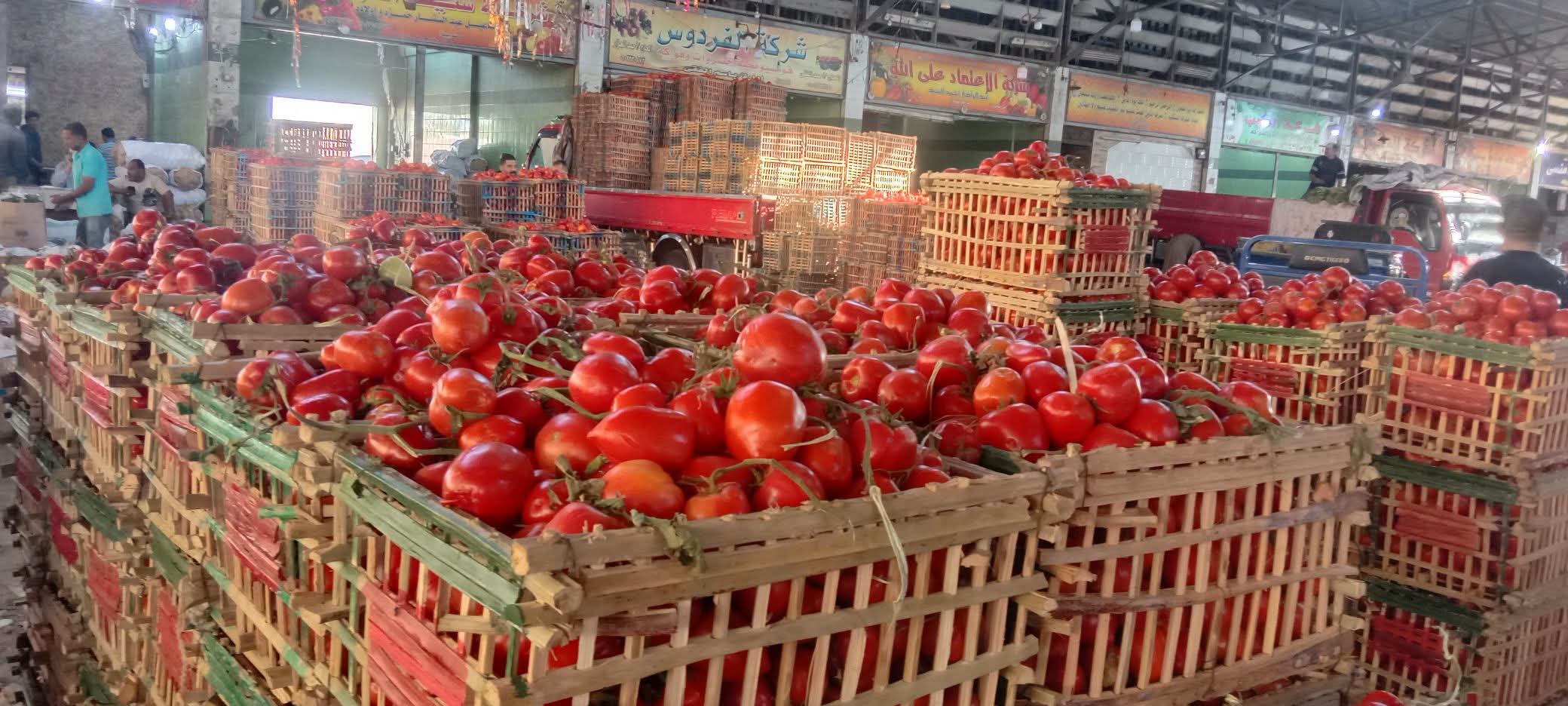تراجع تاريخي في سعر الطماطم والكيلو يسجل مفاجأة جديدة 2 سعر الطماطم