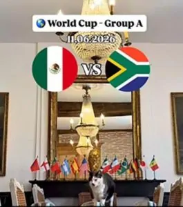 القط نيمبوس يتحدى التوقعات ويفجر مفاجأة حول هوية الفائز في افتتاحية مونديال 2026 2 توقعات القط نيمبوس