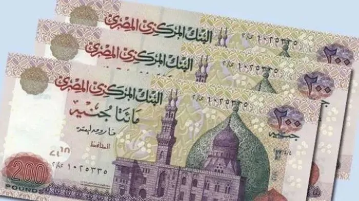 أبرز ملامح منظومة الدعم النقدي الجديدة مع اقتراب تطبيقها 4 مميزات الدعم النقدي