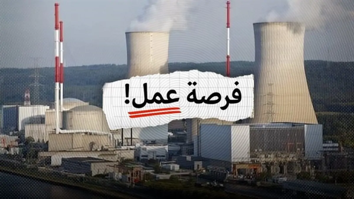 بـ 10 آلاف وظيفة ودعم البابا تواضروس الكاتدرائية تفتح أبوابها لأكبر ملتقى توظيفي للشباب 3 قرص عمل