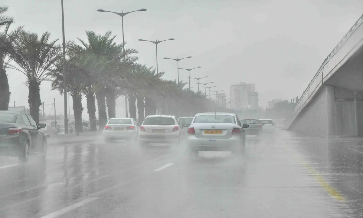 بين غبار السبت وأمطار الأحد الأرصاد تطلق تحذيرات عاجلة حول طقس الـ 96 ساعة القادمة 2 تحذير الأرصاد من "الشبورة