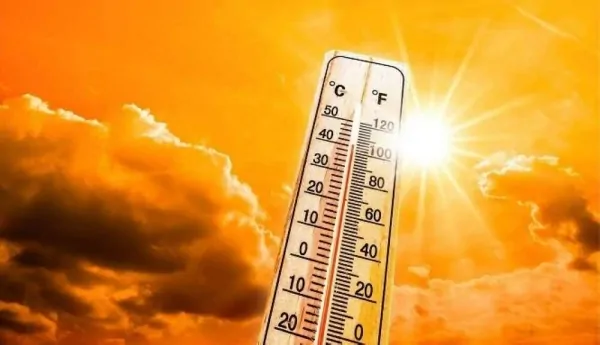 بين غبار السبت وأمطار الأحد الأرصاد تطلق تحذيرات عاجلة حول طقس الـ 96 ساعة القادمة 4 الأرصاد الجوية