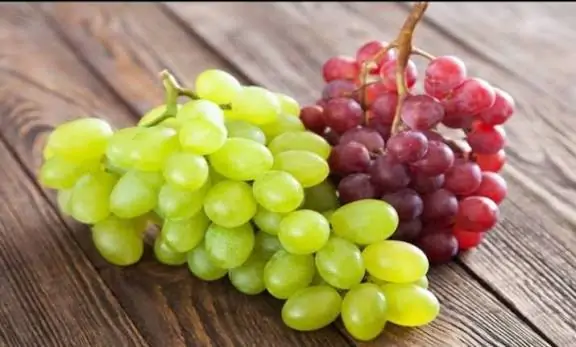 هذا ما يحدث لجسمك عند تناول العنب فوائد صحية مذهلة تنتظرك 3 تناول العنب