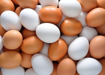 رخصت 20 جنيه لأول مرة منذ شهور مفاجأة في سعر البيض