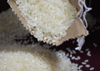 سعر الأرز