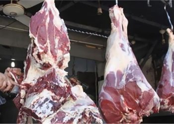 سعر اللحوم اليوم بعد انخفاض اسعار الفراخ