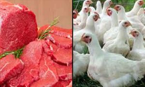 رخصت 20 جنيه لأول مرة منذ شهور مفاجأة في سعر البيض 4 331121826 777955360593699 258980905716533898 n 84