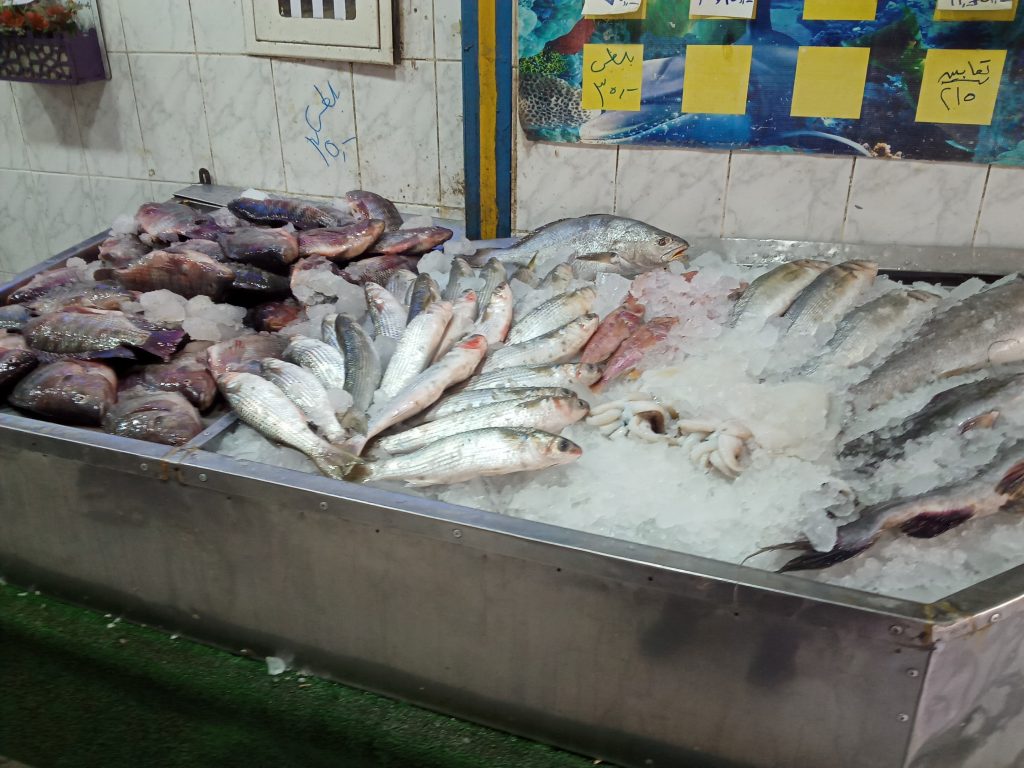 سعر السمك اليوم 5 مارس و 40 جنيها للبلطى 2 331121826 777955360593699 258980905716533898 n 129