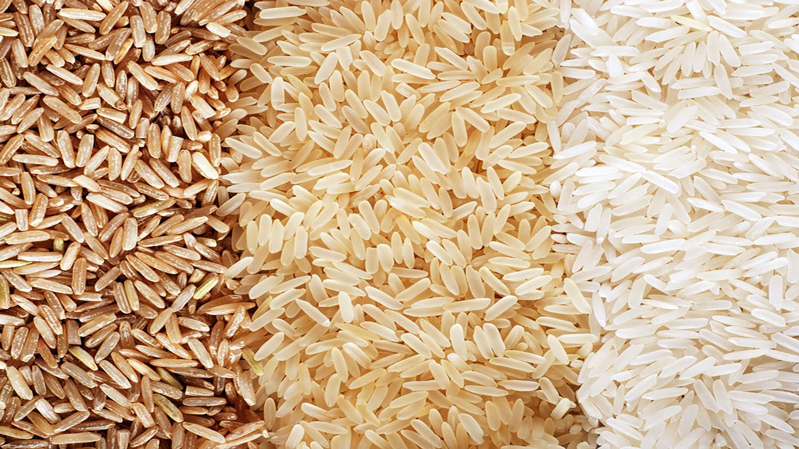 الأرز فى الأسواق