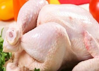 عكس كل التوقعات سعر الفراخ الآن في مصر مفاجأة غير متوقعة