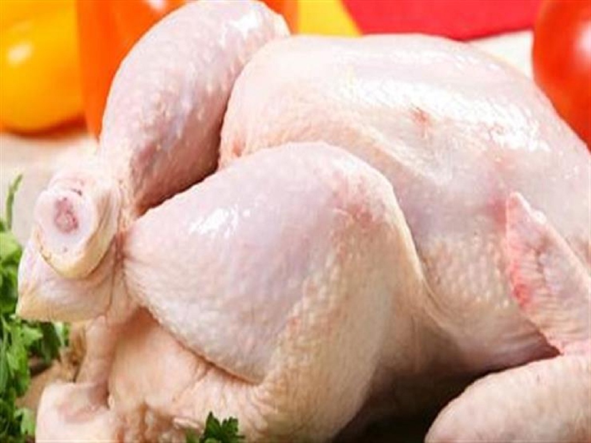 مفاجأة بسعر البانيه و الدواجن الحية 45 جنيه دفعه واحده 3 331121826 777955360593699 258980905716533898 n 16 350x350 25