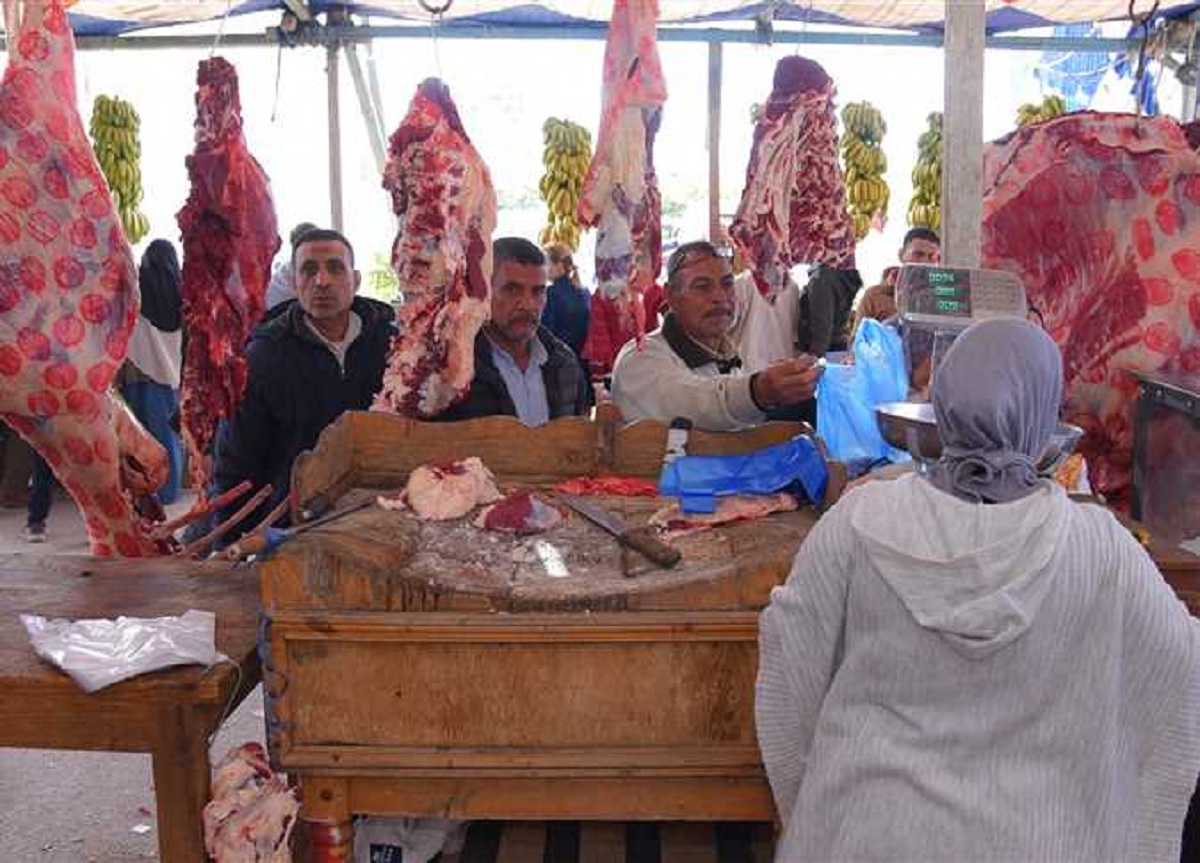 مفاجأة بشأن سعر اللحوم والسلع 