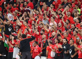 اخبار سارة لجماهير الاهلي يزفها شوبير