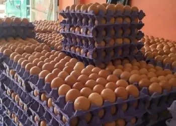 انخفاض سعر البيض بالأسواق 28مارس رخص تاني