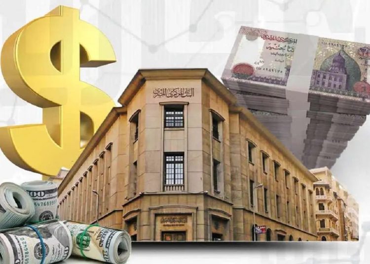 الكل يجهز سعر الفائدة والصرف خبراء يتوقعون قرار البنك المركزي 1 حقيقة طرح عملة جديدة فئة 500 جنيه