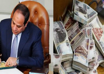 هام من السيسي بشان استحقاق العلاوات الدورية وزيادة المعاشات