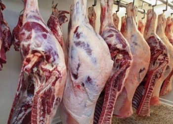 سعر اللحوم اليوم 6 مارس بكام النهاردة الكيلو للمستهلك
