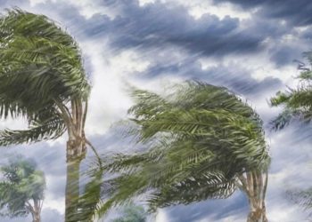الأرصاد تحذر بشان طقس الساعات المقبلة هجمة شتوية