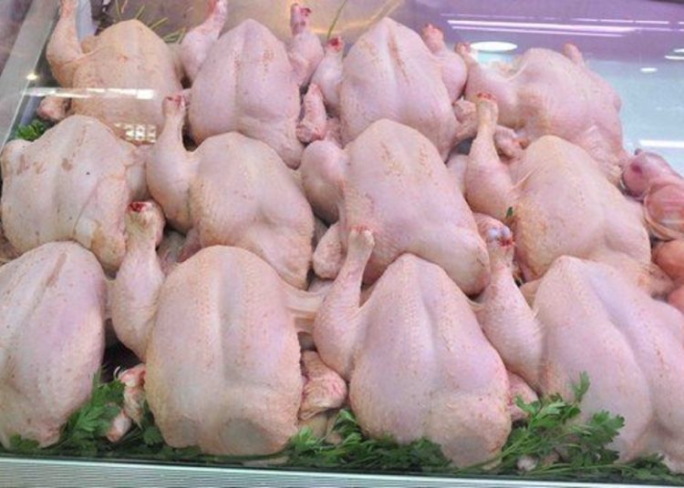 هبوط مفاجئ الآن بسعر الفراخ و البانيه يفقد 50 جنيه دفعة واحدة 1 331121826 777955360593699 258980905716533898 n 3