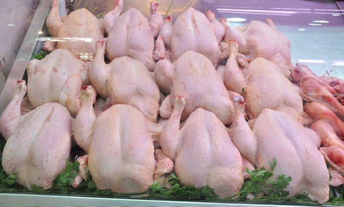 مفاجأة في سعر الفراخ الآن و البيض رجع 35 جنيهً 3 331121826 777955360593699 258980905716533898 n 3