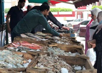 سعر الأسماك اليوم 2 مارس  مفاجأة  للمستهلك شوف البلطي وصل كم