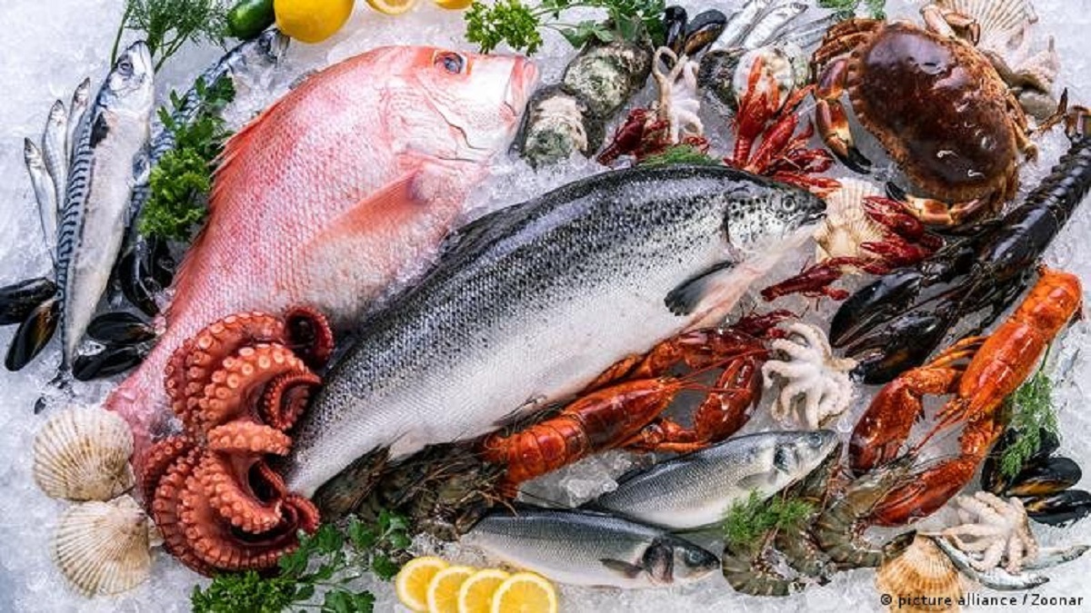 70 السمك البلطى سعر الأسماك والجمبري والكابوريا في مصر 3 331121826 777955360593699 258980905716533898 n 75