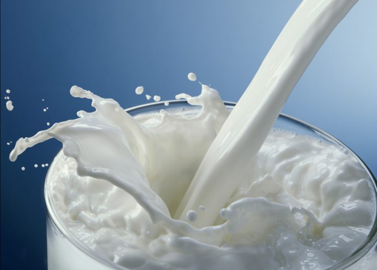 الحليب المعلب أفضل من السايب ما حقيقة هذا الأمر 1 63c7a9694c59b772e034cb45