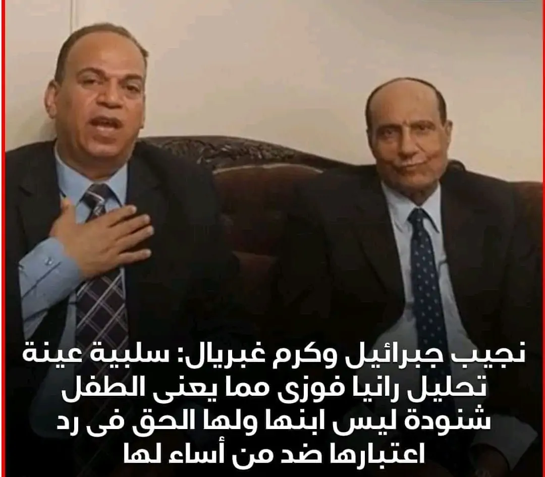 قضية الطفل شنودة نتيجة تحليل DNA للسيدة رانيا فوزي اعلنها نجيب جبرائيل 4 قضية الطفل شنودة نتيجة تحليل DNA