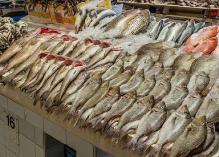 سعر الأسماك والجمبري اليوم 4 مايو عقب ارتفاع سعر السولار 1 بعد نجاح خليها تعفن في تراجع أسعار السمك