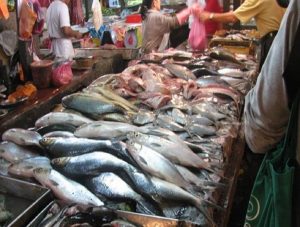 ارتفاع سعر السمك 