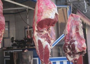 كيلو اللحمة بـ 150 جنيه هدايا الحكومة قبل رمضان للمواطنين