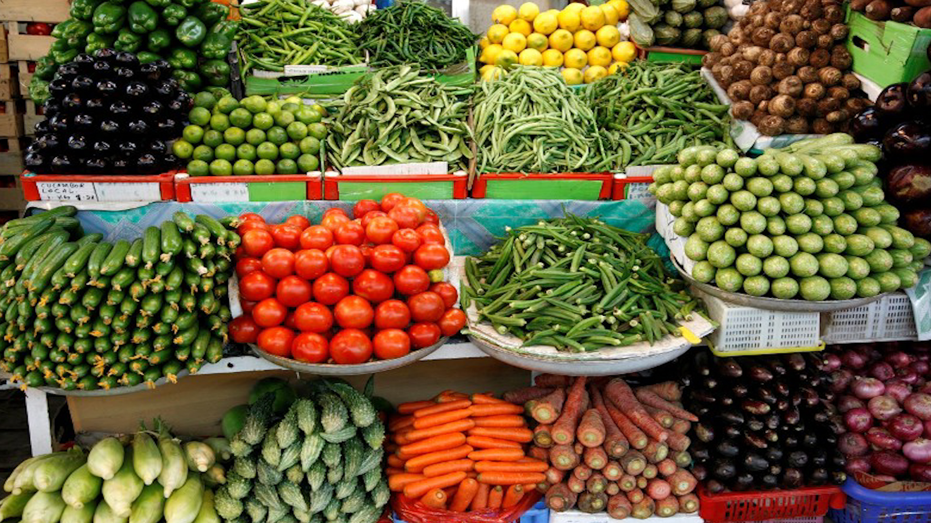 سعر الخضروات والفاكهة بسوق العبور